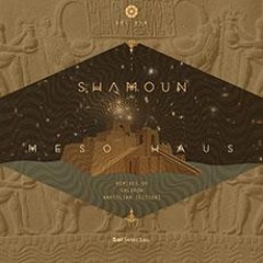 PREMIERE: Shamoun - Meso Haus (Original Mix) [Sol Selectas]
