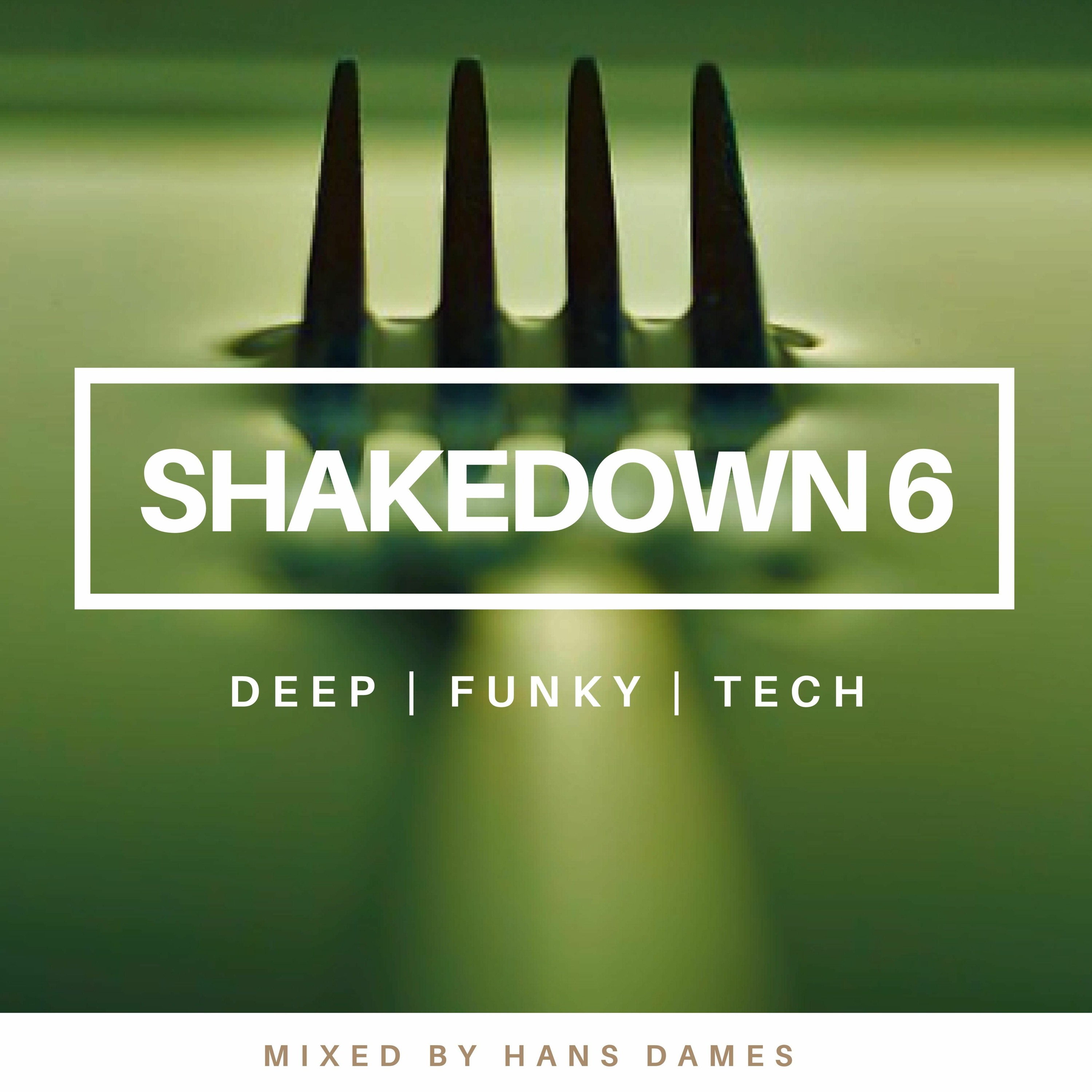SHAKEDOWN 2020 #6 - mixed by Hans Dames episode artwork