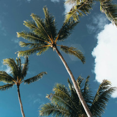 fmb - wolfacejoey x hurricane wisdom (Luke Almighty Remix)