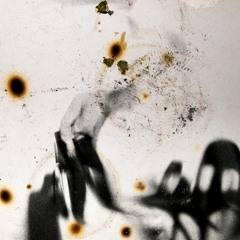 Going Home Can Be Everything at Once