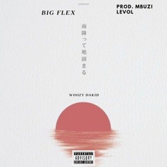 Big Flex/prod. 003WAV