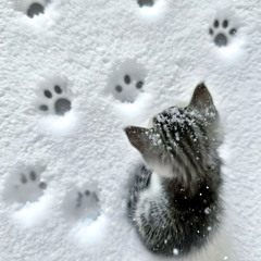 тишина (prod. 6astard)