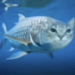 D200 - BTB.m4a (prod. SLVG)