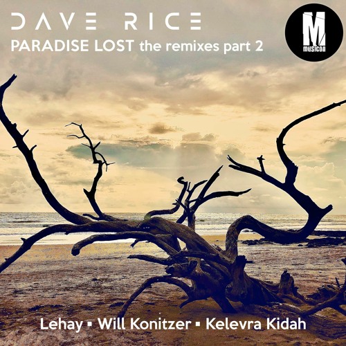 Dave Rice - C'mon & Take Me (Will Konitzer Remix)
