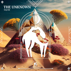 Naj EM - The Unknown [Cafe De Anatolia]