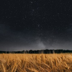 TAYANNA & Bulvar LU - Грішна кава