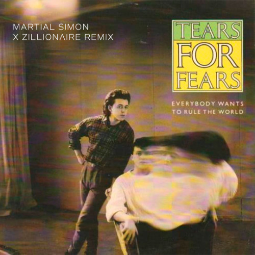 Everybody Wants To Rule The World - Tears for Fears (Martial Simon X Zillionare Remix)