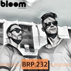 BRP 232 - DIZHARMONIA