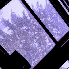 AK Curt - LEVEL UP (1.30x, 3.00st)