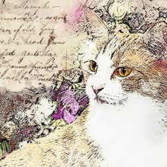To My Imaginary Pets