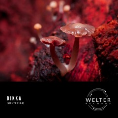 DIKKA - Chapter One [WELTER184]