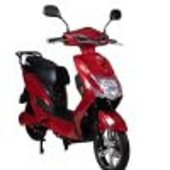 EVOGENES - End Of The Line