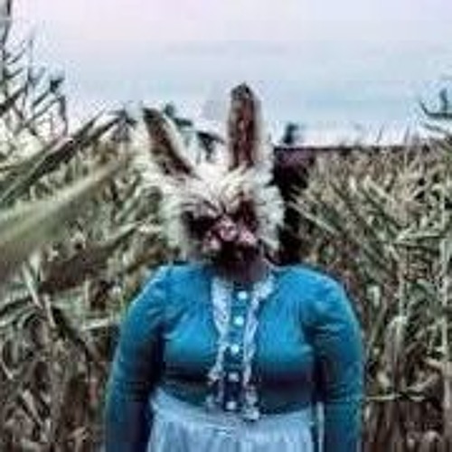 experimental business hayride