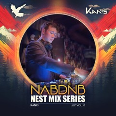 NAB DNB Nest Mix Series [KANIS] - Vol 6