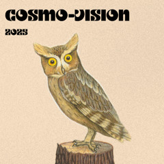 2025 Mix (Cosmo-Vision)