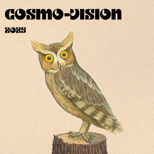 Stream 2025 Mix (Cosmo-Vision) by El Búho | Listen online for free on ...