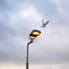 Dit is Rotterdam #5
