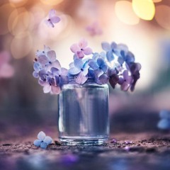 سورة ق بصوت الشيخ حمزة الفار