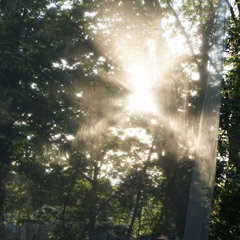 Elena Bi @espirales — May 1st 2025