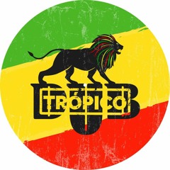 Dubtropico Heavy Dub Vinyl DJ set