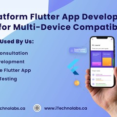 Custom Flutter App Development: Partnering with a Professional Company