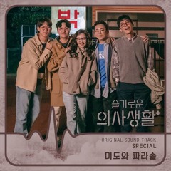 Mido and Falasol (미도와 파라솔) - 내 눈물 모아 (Drama Ver.) (Hospital Playlist 슬기로운 의사생활 OST)