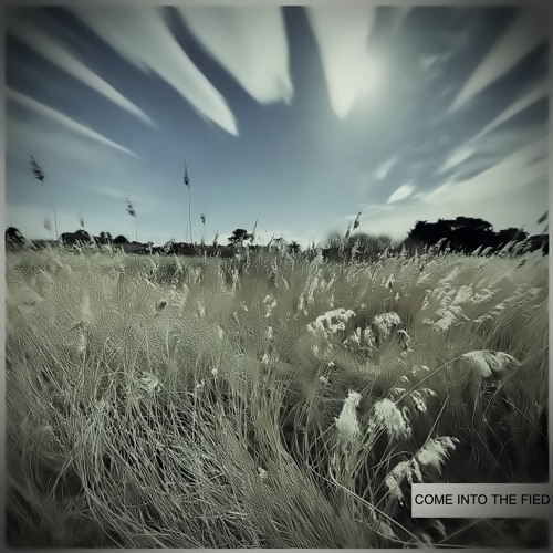 Come into the Field