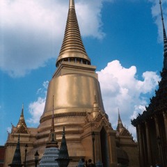 Fields Of Gold Dayna Bee