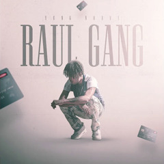 Raul Gang