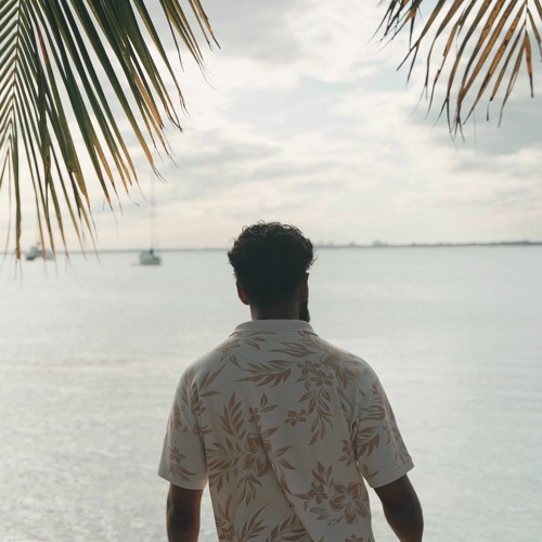 Pehle Bhi Main (Unplugged) | ANIMAL | Vishal Mishra, Raj Shekhar | Tanujoy Roy