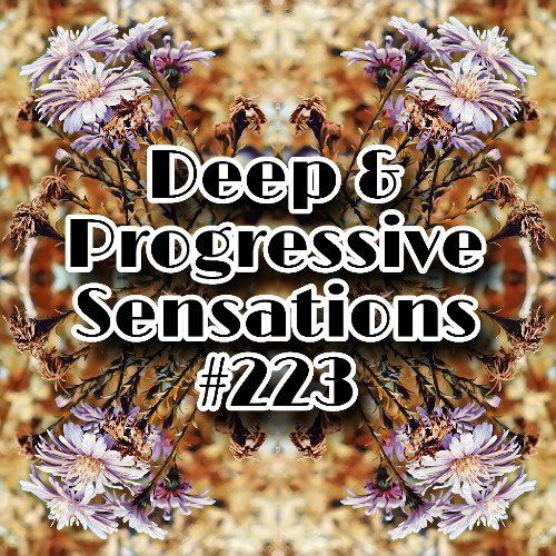 Deep & Progressive Sensations #223 | Two Worlds (Afro & Progressive)