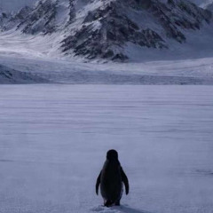 Penguin migration ambience