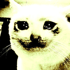 Smokencry2reallysad