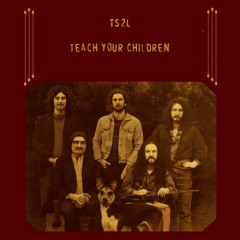 Teach your children (in the style of Crosby, Stills and Nash)