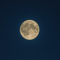 Slow Dance in the Moon