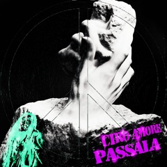 PASSALA(coinboy)