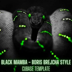 Black Mamba - Techno Template for Cubase 11