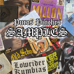 Sonido Algo Leve Presenta : PUROS PINCHES SAMPLES!