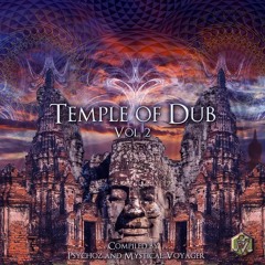 Ayahuasca (Visionary Shamanics VA - Temple of Dub Vol. 2)