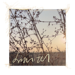 LIMITES - Ambiental