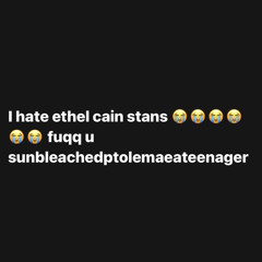 sun-bleached flies // ethel cain / slowed & reverb