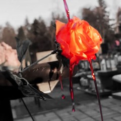 heart poured over [[// @mikeal0ne & @rainn_god ]]]]}}}}}}}