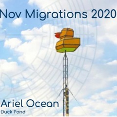 Nov Migrations20