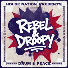 Droopy & Rebel - Drum N Peace.mp3