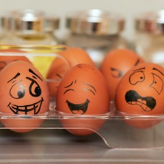 Emotions et somatothérapie par Nathalie Bicgel-Tesson (Espace Floréal)