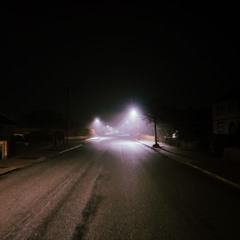 Mons_T // Sw1ng