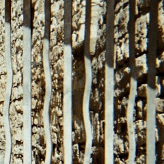 Consuetud (Feat Carlo Pavía)