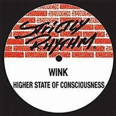 JOSH WINK 'HIGHER STATE OF CONSCIOUSNESS' Jay's highest state of wrongsciousness edit