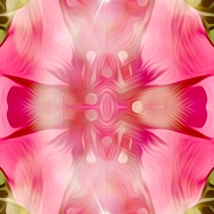 Self Love MasMusicMedi (Sample)