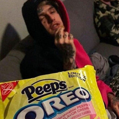 𝘯𝘶𝘵𝘴 (𝘴𝘱𝘦𝘥 𝘶𝘱)